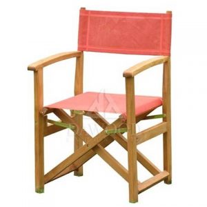 Director Folding Teak Chair