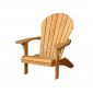 Andirondack Teak Garden Chair