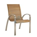 DCTE-016 Males Stainless Steel Teak Arm Dining Chair