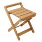 Teak Shower Folding Stool
